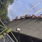 Atlético: Carabobo pagará multa após insultos racistas contra jogadores do Galo