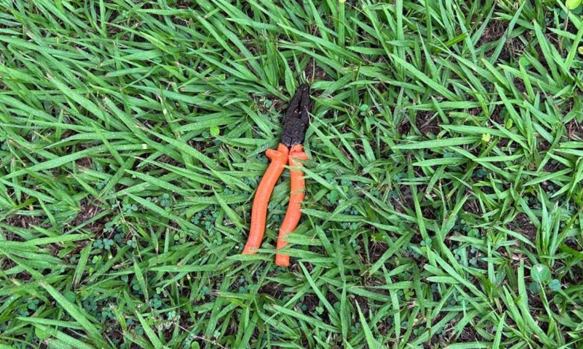 Corpo em decomposição é encontrado em campo de futebol em Cataguases (MG)