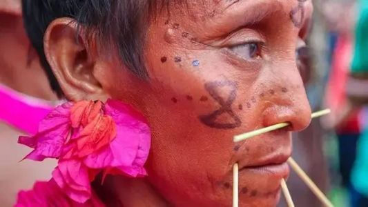 Alimentos e medicamentos serão transportados nos próximos dias