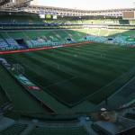 O passo a passo da irritação do Palmeiras com gramado do Allianz Parque