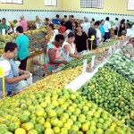 População de BH se assusta com preços de frutas e verduras: “pela hora da morte”