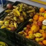 Onda de calor: frutas e legumes estragam em menos de 24 horas em sacolões de BH