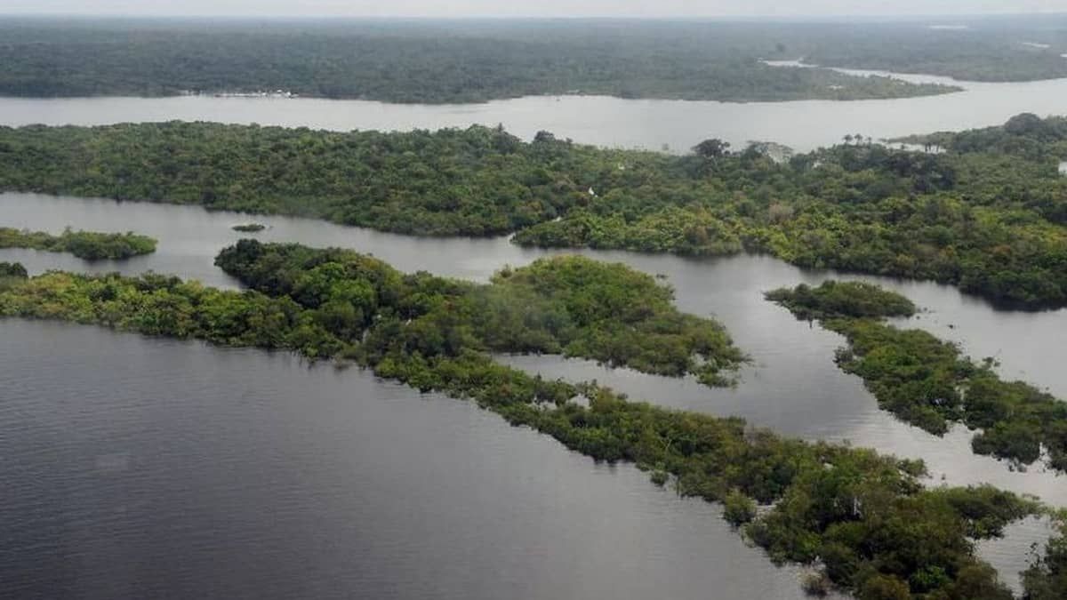 A pedido de Lula, Alckmin e ministros visitam o Amazonas para ações de combate à maior seca da história na região