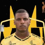 Campeão brasileiro pelo Cruzeiro acerta com clube da Série B