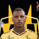 Campeão brasileiro pelo Cruzeiro acerta com clube da Série B