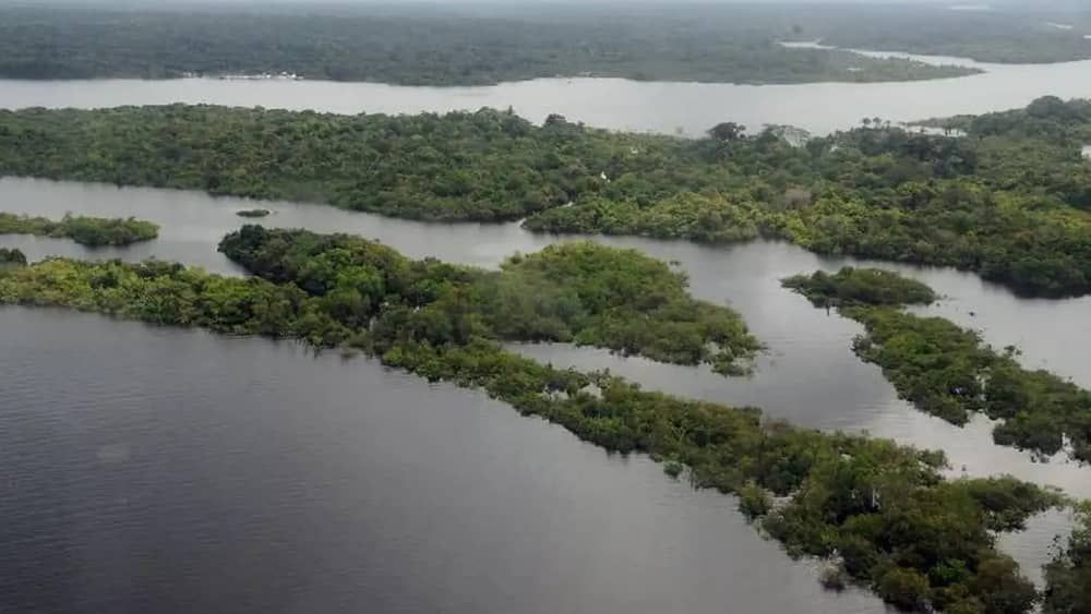 Projeto de lei vai facilitar regularização de terras na Amazônia 