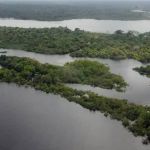 Projeto de lei vai facilitar regularização de terras na Amazônia 