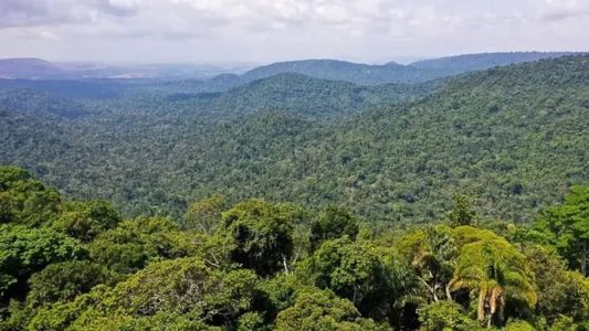 As autoridades rastreiam os menores em uma área de aproximadamente 323 quilômetros quadrados