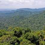 Crianças indígenas perdidas na Amazônia colombiana 'estão vivas', dizem autoridades