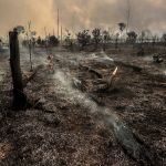 Situação de emergência por incêndio florestal cresceu 354% em agosto