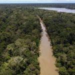 Amazônia perdeu 17% de sua cobertura nativa, diz MapBiomas