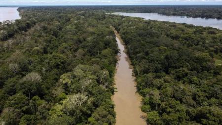 Amazônia perdeu 17% de sua cobertura nativa, diz MapBiomas