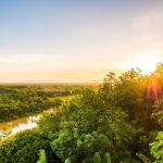 Dilema da transição: o Brasil pode ser líder verde e potência do petróleo?