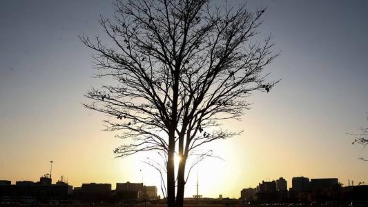 A sustentabilidade também deve estar presente no dia a dia das empresas