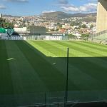América mostra 'novo gramado' do Independência em meio a tratamento