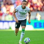 América x Palmeiras: onde assistir ao jogo pela Série A