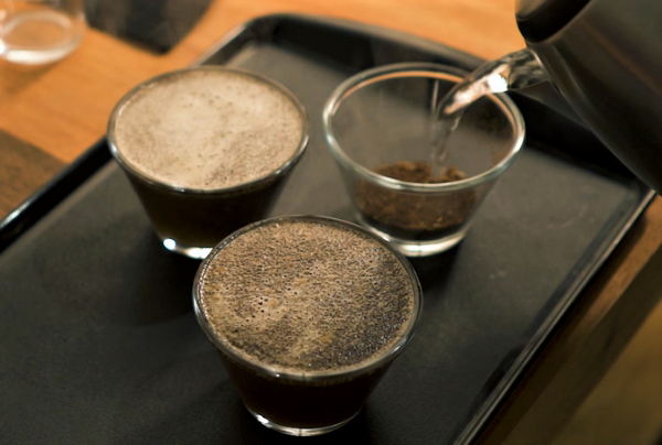 Concurso de cafés na Zona da Mata vai desclassificar amostras que tiverem cheiro ruim; entenda