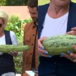 Ana Maria Braga denuncia furto dentro da Globo 