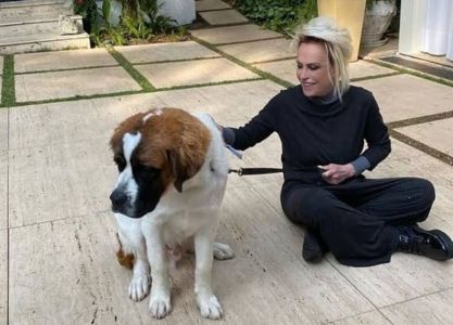 Ana Maria Braga se despediu de Capuccino, seu animal de estimação