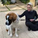 Ana Maria Braga vive luto após festa de casamento: 'Agora ele corre lá no céu'