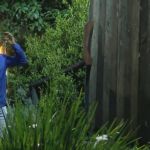 A Fazenda 15: André é salvo pelo público e peões reagem 