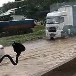 Vídeo: Anel Rodoviário alaga e Córrego do Onça quase trasborda após chuva forte em BH