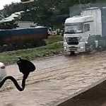 Vídeo: Anel Rodoviário alaga e Córrego do Onça quase trasborda após chuva forte em BH
