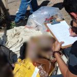 Cachorros e gatos são encontrados mortos em sacolas de lixo em BH; polícia investiga caso