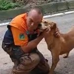 Vídeo: cachorro é resgatado de correnteza de lama e 'agradece' agente em São Sebastião