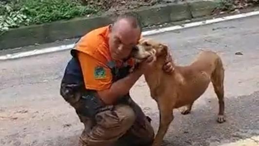 Animal 'agradece' salvamento à agente de equipe de resgate
