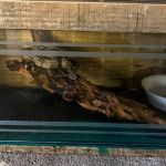 Polícia Militar de Meio Ambiente apreende jiboia utilizada em ameaça na cidade de Açucena