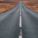 Animal silvestre é resgatado após ser atropelado em rodovia