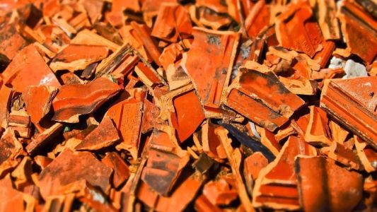 Animal foi encontrado em baixo de telhas