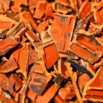 Animal silvestre perigoso é capturado em quintal no Norte de MG