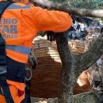 Vídeo: bombeiros resgatam segundo animal silvestre em cisterna no mesmo dia em Minas
