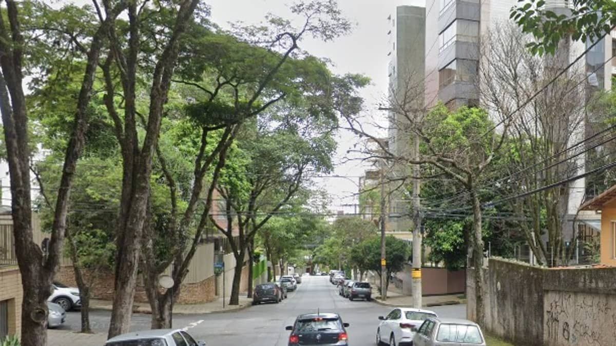 Ouriço é resgatado no bairro Serra, região Centro-Sul de BH 