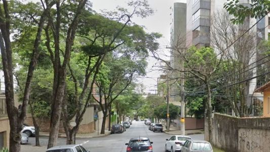 Animal invadiu residência na rua Professor Estêvão Pinto, próximo ao número 1464