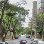 Ouriço é resgatado no bairro Serra, região Centro-Sul de BH 