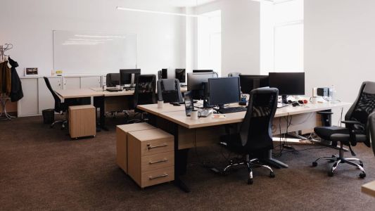 Animal silvestre estava em lixeira de escritório