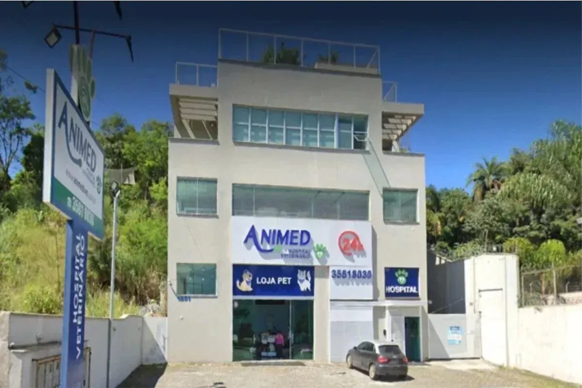 Veterinários suspeitos de congelar animais mortos em clínica na Grande BH viram réus