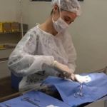 Agenda para castração de cães e gatos em BH é aberta nesta segunda (23)