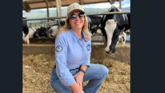 Antonieta ainda cultiva café e soja para fins comerciais e milho, sorgo, aveia e capim tifton para alimentação do gado