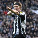 Newcastle goleia em casa e aumenta jejum do Benfica na Champions League