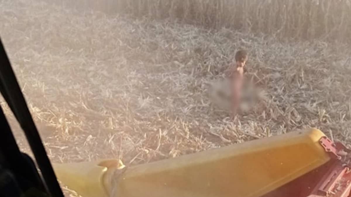 Vídeo: menino autista de 5 anos é encontrado sem roupa em milharal após 24 horas desaparecido