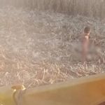 Vídeo: menino autista de 5 anos é encontrado sem roupa em milharal após 24 horas desaparecido