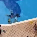 Vídeo: quatro pessoas são vítimas de descarga elétrica dentro de piscina