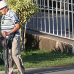 Prova de vida do INSS: saiba como funcionará o procedimento para pagamento de pensões e aposentadorias