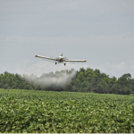 Flexibilização do uso de agrotóxico: mudanças benéficas ou prejudiciais? Ouça