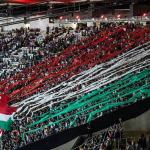 Fluminense encerra primeiro turno em casa invicto na Série A