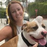 Pitbull é salva por abrigo após ser encaminhada para eutanásia devido a sua aparência